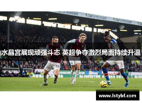 水晶宫展现顽强斗志 英超争夺激烈局面持续升温