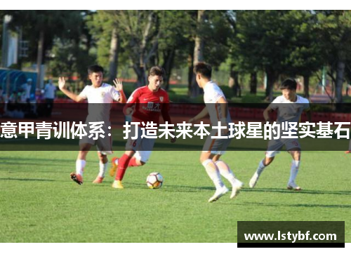意甲青训体系：打造未来本土球星的坚实基石